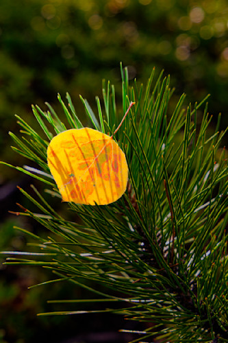 09262025 fall colors jhe0q1a4413 hfevjm