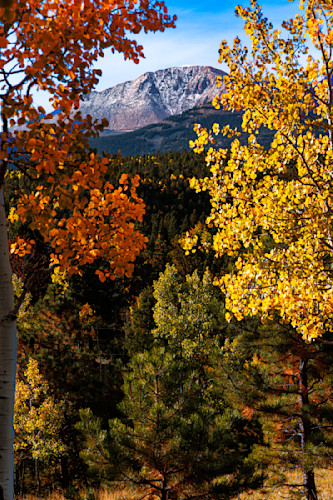 09262025 fall colors pike nf jhe0q1a4453 vvs032