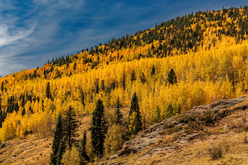 09262025 fall colors jhe0q1a5095 flgyx2