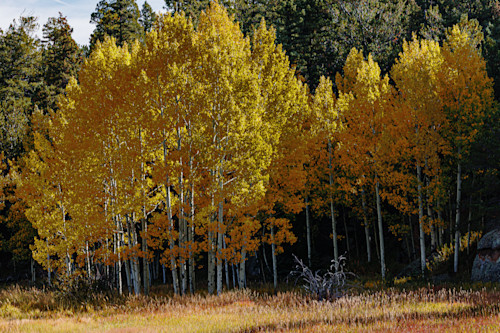 10012025 fall colors ppnf 0q1a4886 tuwd32