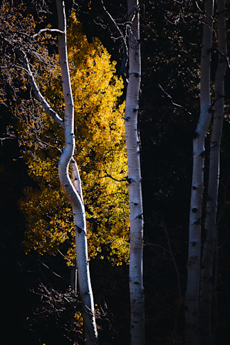 10012025 fall colors ppnf 0q1a4883 ptraxg