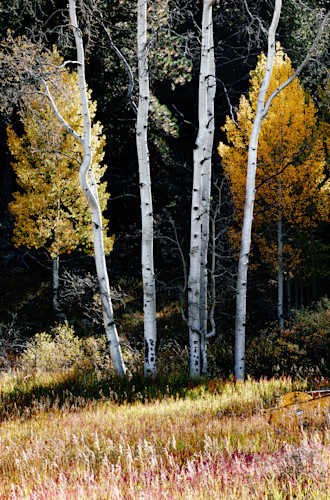 09272025 fall colors 0q1a4874 n9vbiu