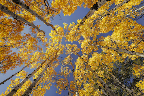 10052025 fall colors meuller sp 0q1a5328 aebhaj