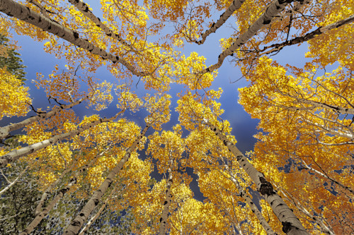 10052025 fall colors meuller sp 0q1a5340 wfelwn