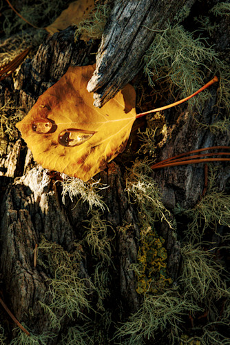 10052025 fall colors meuller sp 0q1a5162 jdlxss