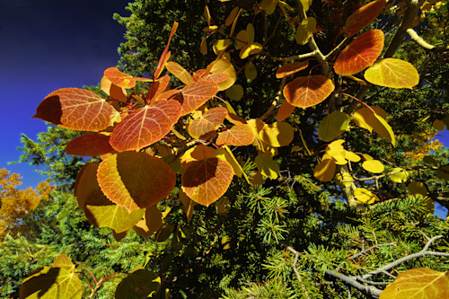 10052025 fall colors meuller sp 0q1a5368 wawzdm