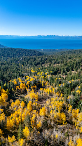Aspens above lake tahoe 21 exq8wi