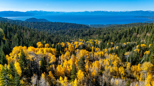 Aspens above lake tahoe 22 fimshh