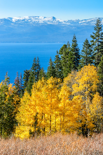Aspens above lake tahoe 24 tkhzqz