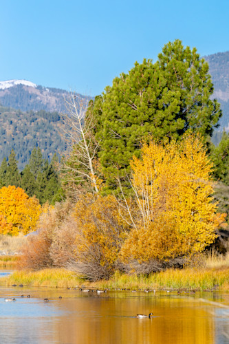 Glenshire pond in autumn 1 op85sz