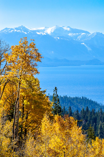 Aspens above lake tahoe 23 dev8ni