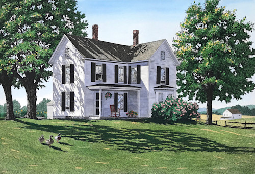 Moanalua Gardens Ii Art | Carol Collette