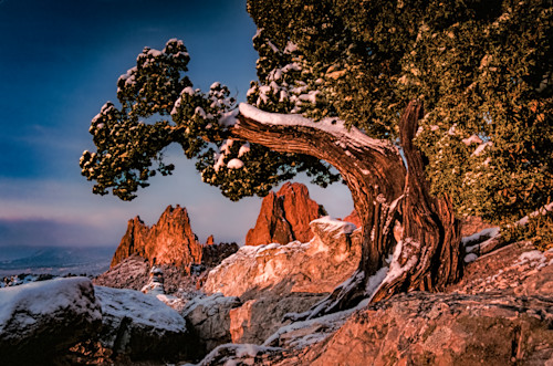 Gog weathered buzzi ridge 04212007 cb0023 giqzvr