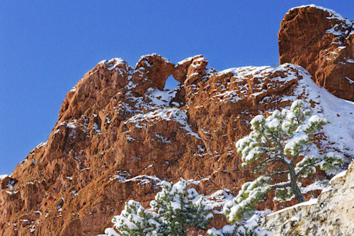 12042025 gog snow 0q1a6729 yflgf3