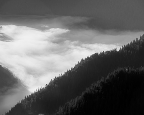 Held above the mist olympic peninsula washington 2025 rw4qcd