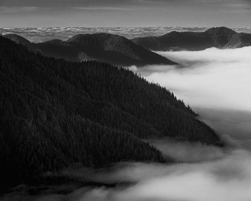 Where the forest holds olympic peninsula washington 2025 lbkn4i