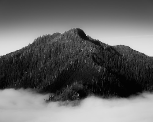 Rising from quiet olympic peninsula washington 2025 w9eph2