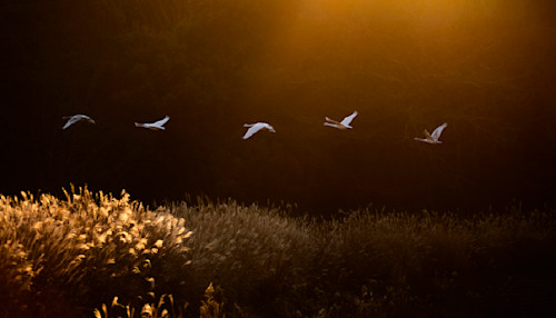 Mbp kotokunuma 20071227 1835 tmozry