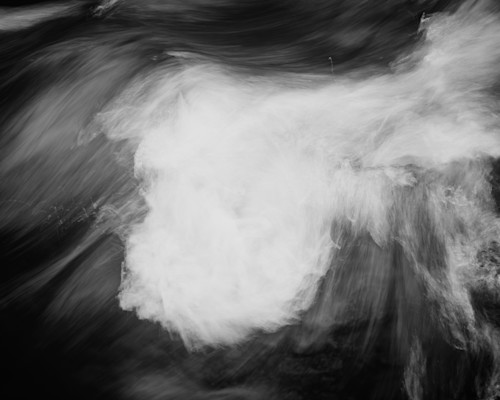 Gathered force capital state forest washington 2025 vyrcim