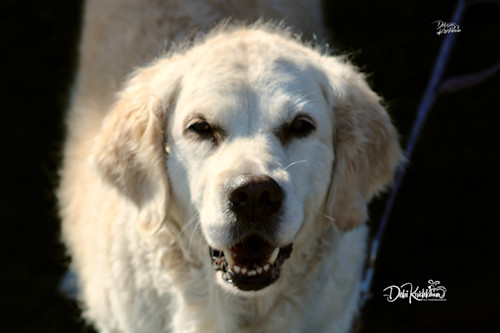 Dc84080a 8b1a 4919 8d79 1a7d9fc8f06d 1 201 a grzpyo