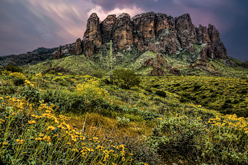 Superstition dawn blooms jhe0209 yuna2b