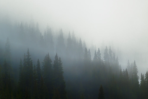 The lift 06062025 jhe q1a0960 o6e3b1