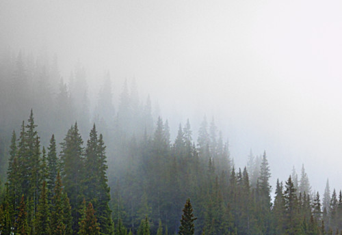 The lift 06062025 jhe q1a0956 h7jt2t