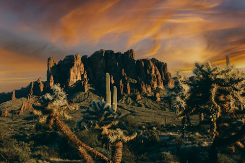 Superstitions cholla sunset jhe8333 cmzdzq