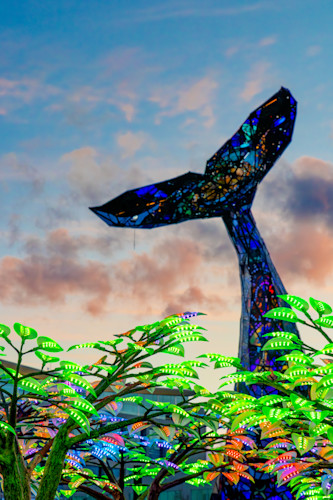 Reno western lights festival 3 hhltz3