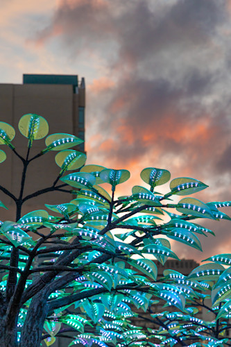 Reno western lights festival 2 mhd9hf