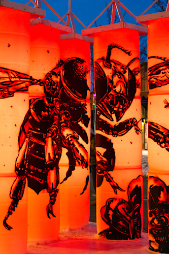 Reno western lights festival 9 yowq62