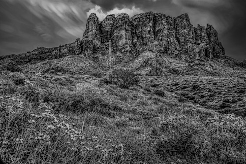 Superstition dawn blooms bw jhe0209 jp8veh