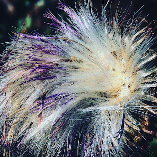 Img 1103 copy hfk4o1