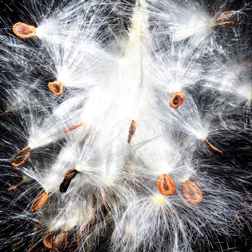 Img 0966 copy qvquwl