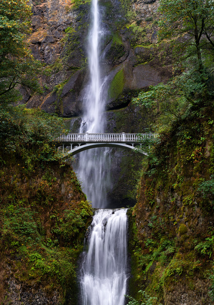 Pacific Northwest photographs