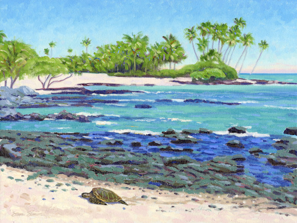 Paintings Of The Big Island Of Hawaii By Steve Simon   Orchid Beach Turtle Dcbrmp 