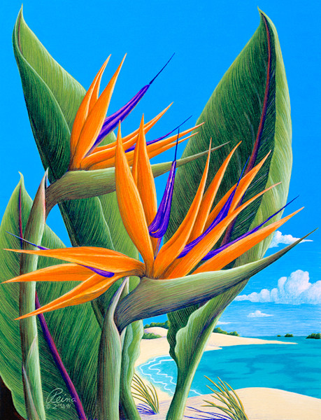Bird Of Paradise Art | Fine Art New Mexico