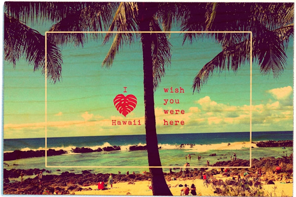 Birchwood Postcards Wish You Were Here