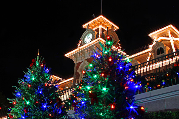 Magic Kingdom Christmas Trees - Disney Christmas Photos