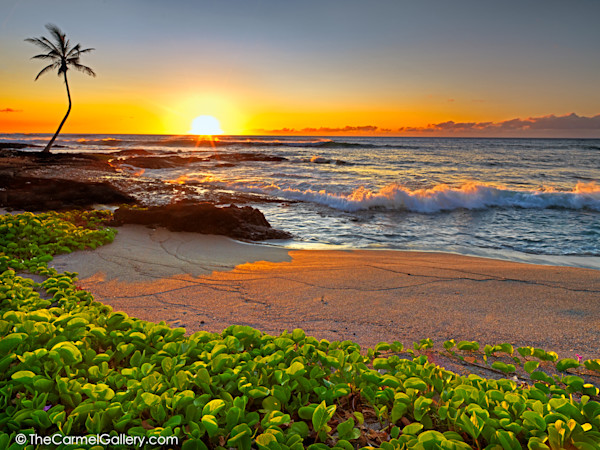 Big Island Sunset