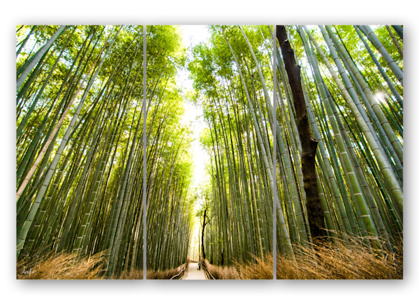 Arashiyama Bamboo Grove triptych