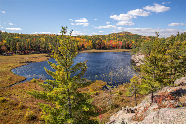 Wetmore Pond