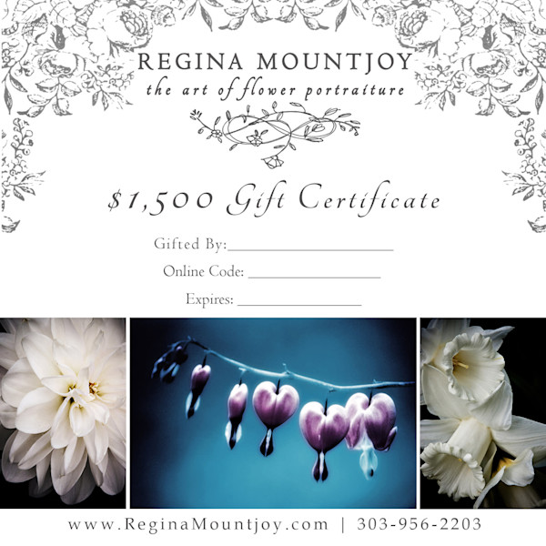 Gift Cards for Flower Portraiture