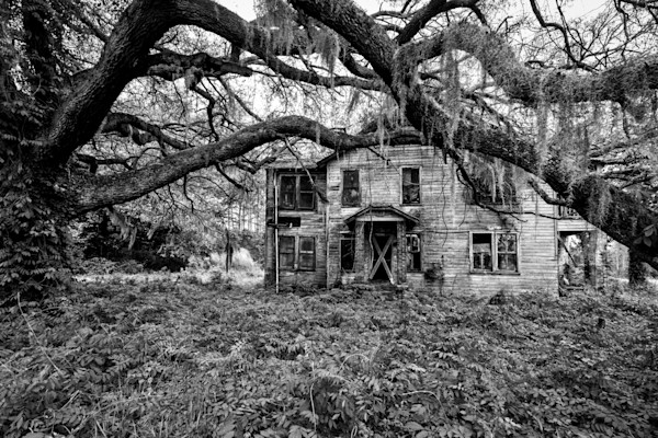 Old South memories plantation home photography