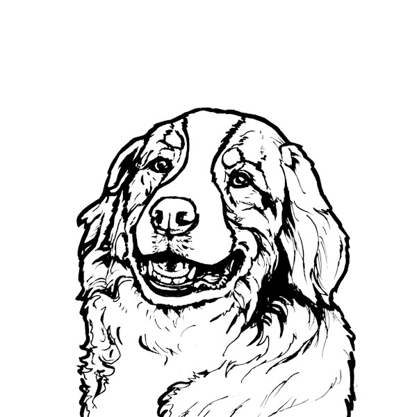 Bernese Mountain Dog Line Drawing Art Choose from thousands of customizable templates or create your own from scratch! bernese mountain dog line drawing art