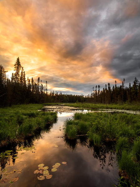 Marsh Sunrise (V) | Tischer Gallery | Fine Photo Prints