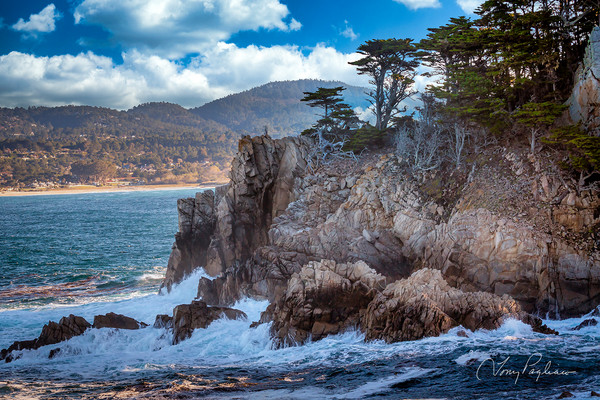 Point Lobos Art | Tony Pagliaro Gallery