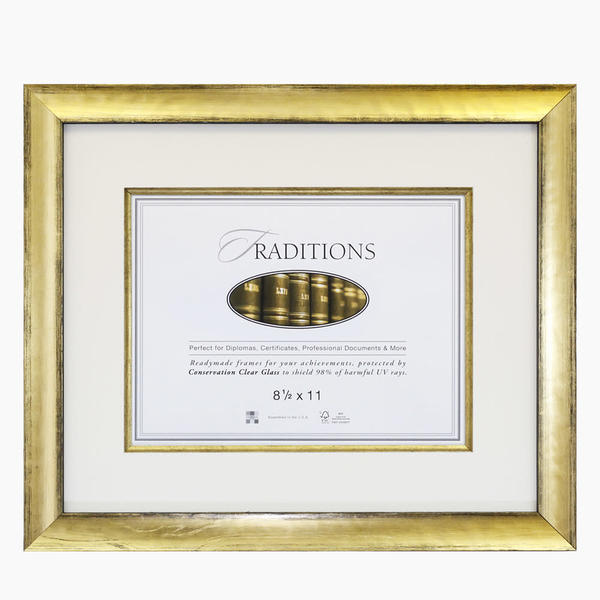 Document frames Art Hall of Frames Print