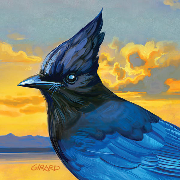 Steller's Jay Bird Block | Studio Girard