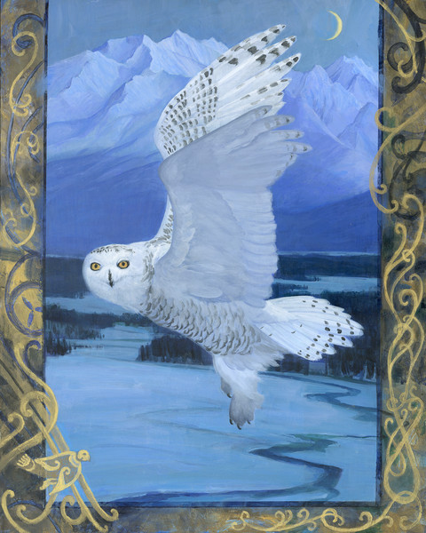 Snowy_Owl_u2v5ts.jpg